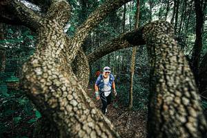 BIB: 
                            <button type="button" onclick="openModal(25394326)" class="btn btn-primary btn-sm float-right btn-popup" data-toggle="modal" data-target=".modal-high-quality">
                        <i class="fas fa-shopping-cart"></i> Add to Cart
                    </button>
                                            <button type="button" onclick="isThisMe(25394326, true)" class="btn btn-success btn-sm float-right btn-popup btn-isme hidden" data-toggle="tooltip" data-placement="bottom" title="นี่คือรูปของคุณใช่ไหม คลิกที่นี่เพื่อเอาเข้าอัลบั้ม">
                        <i class="fas fa-plus"></i> Add to album
                    </button>
                    <button type="button" onclick="isThisMe(25394326, false)" class="btn btn-warning btn-sm float-right btn-popup btn-isnotme hidden">
                        <i class="fas fa-ban"></i> Remove from album
                    </button>